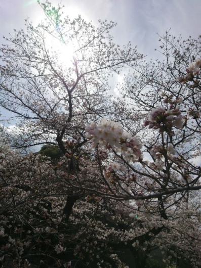 c0317717_18560131.png