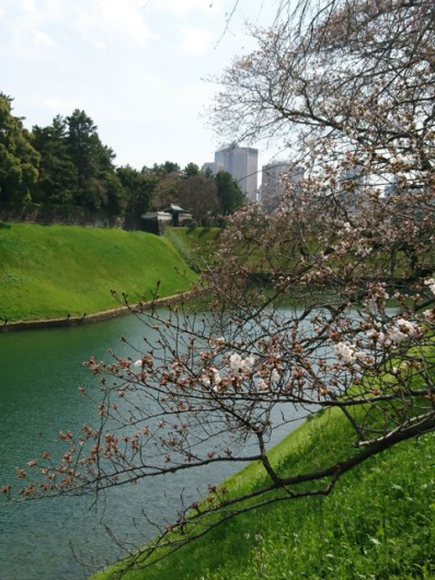 c0317717_18560428.png