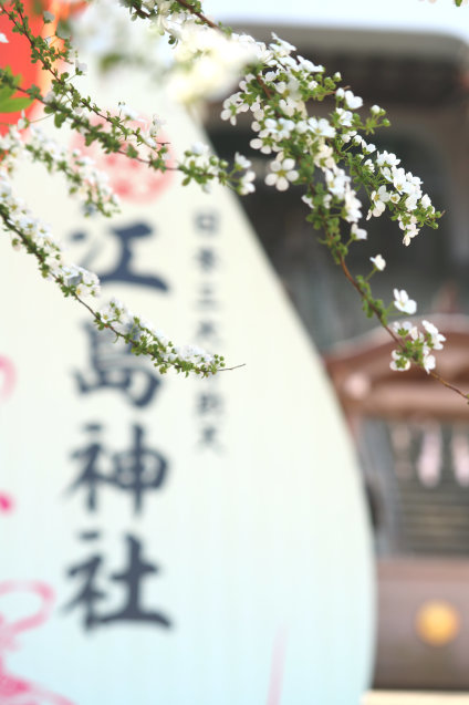 a0037322_14180840.jpg