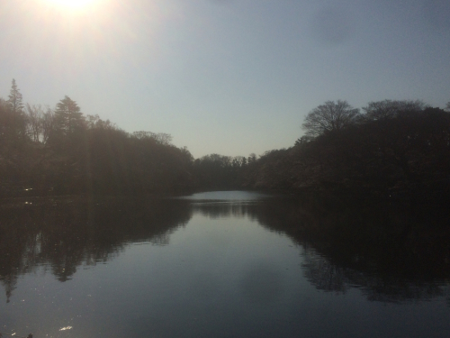 f0327534_08221563.jpg