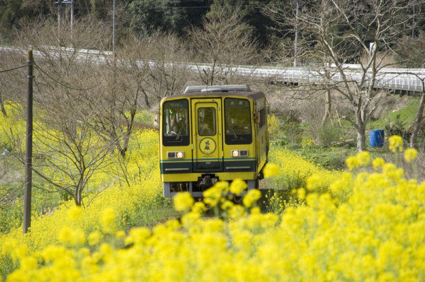 f0124737_22130230.png