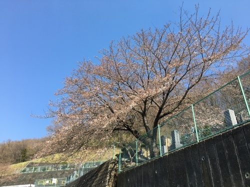 b0330040_21373362.jpeg