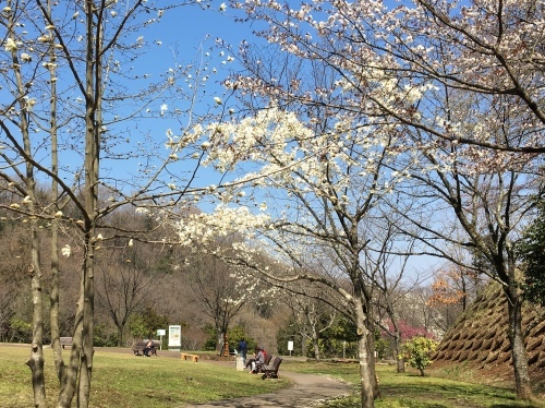 b0330040_21532620.jpeg