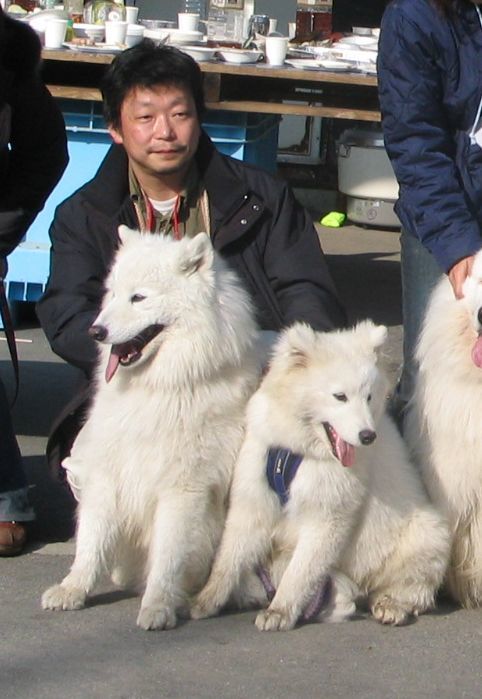 早すぎるお別れ_f0128542_01593133.jpg