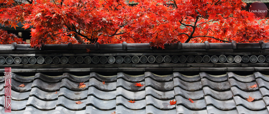 京都御所、屋根の鬼瓦と紅葉_b0157849_15003164.jpg