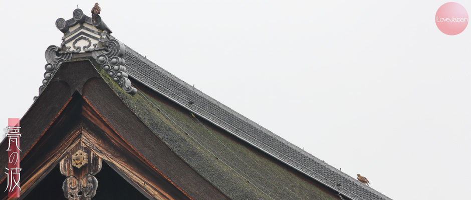 京都御所、屋根の鬼瓦と紅葉_b0157849_15004184.jpg