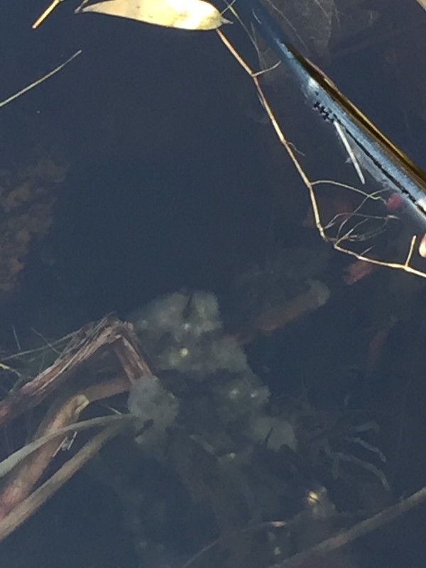 c0074553_10253710.jpg