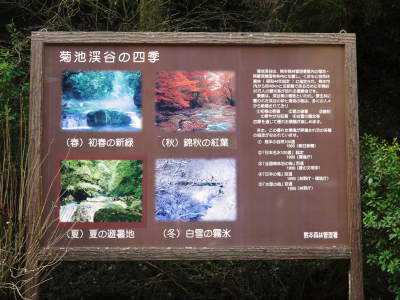 熊本地震を乗り越えて2018年3月24日(土)菊池渓谷オープンしました!!_a0254656_18420868.jpg
