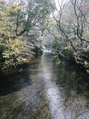 熊本地震を乗り越えて2018年3月24日(土)菊池渓谷オープンしました!!_a0254656_19055964.jpg