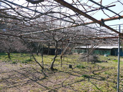 熊本地震を乗り越えて2018年3月24日(土)菊池渓谷オープンしました!!_a0254656_20053582.jpg