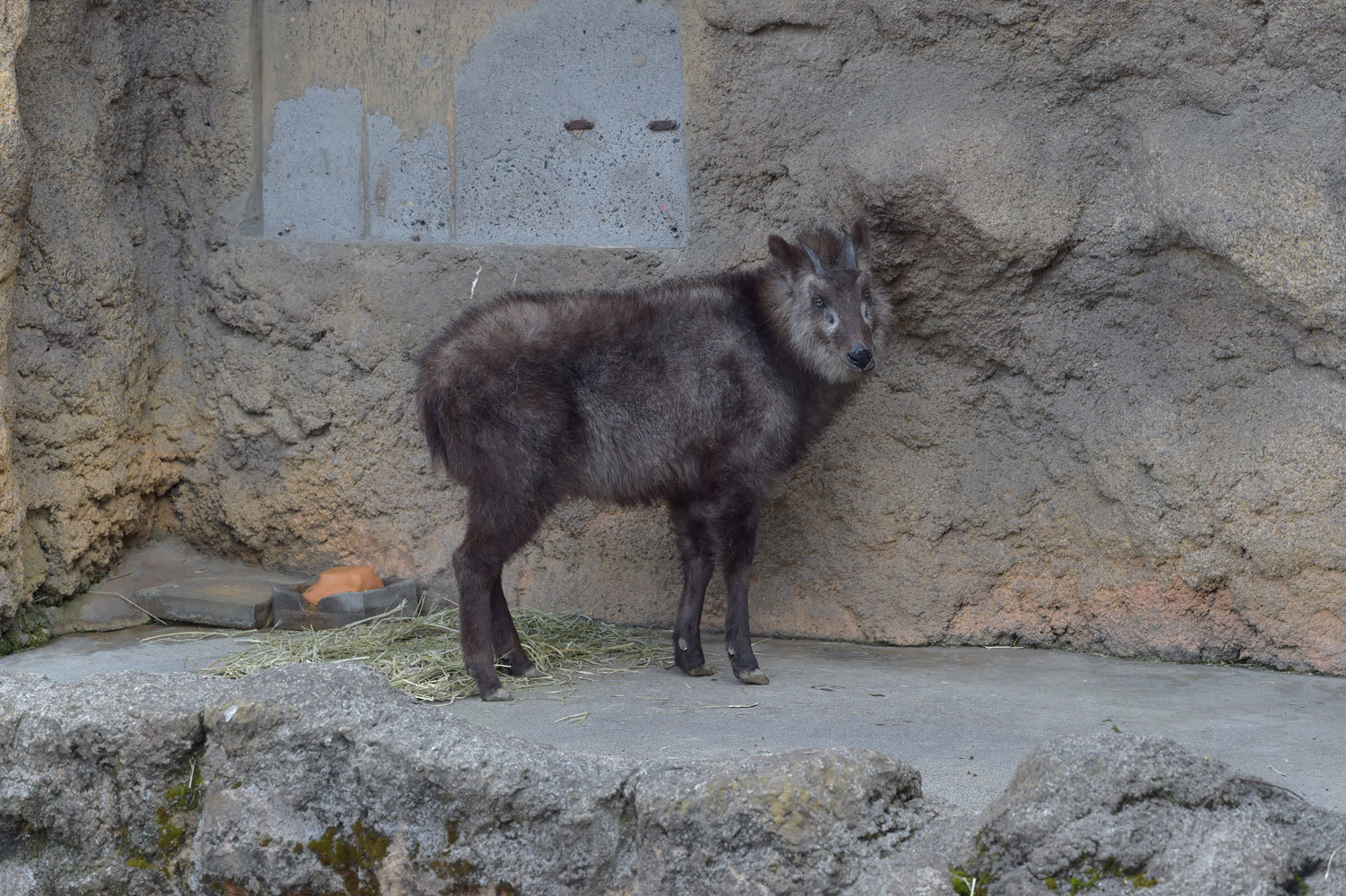 動物園へ行こう 動物園へ行こう