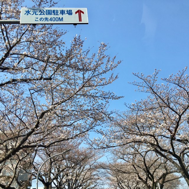 a0165160_19273282.jpg