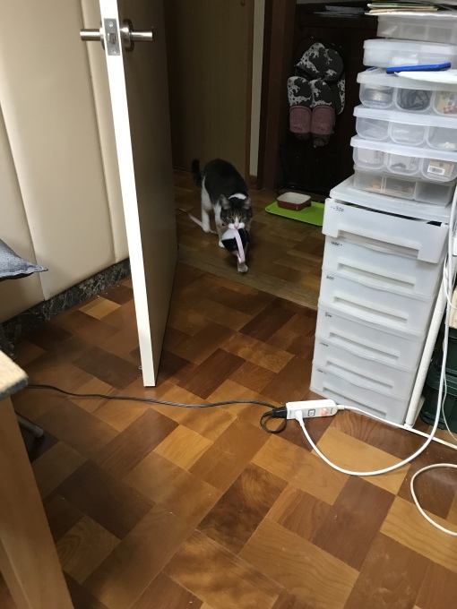 d0128864_19502523.jpeg