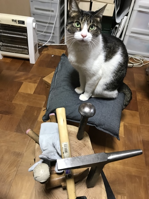 d0128864_19513458.jpeg
