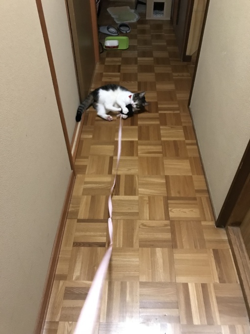 d0128864_19542819.jpeg