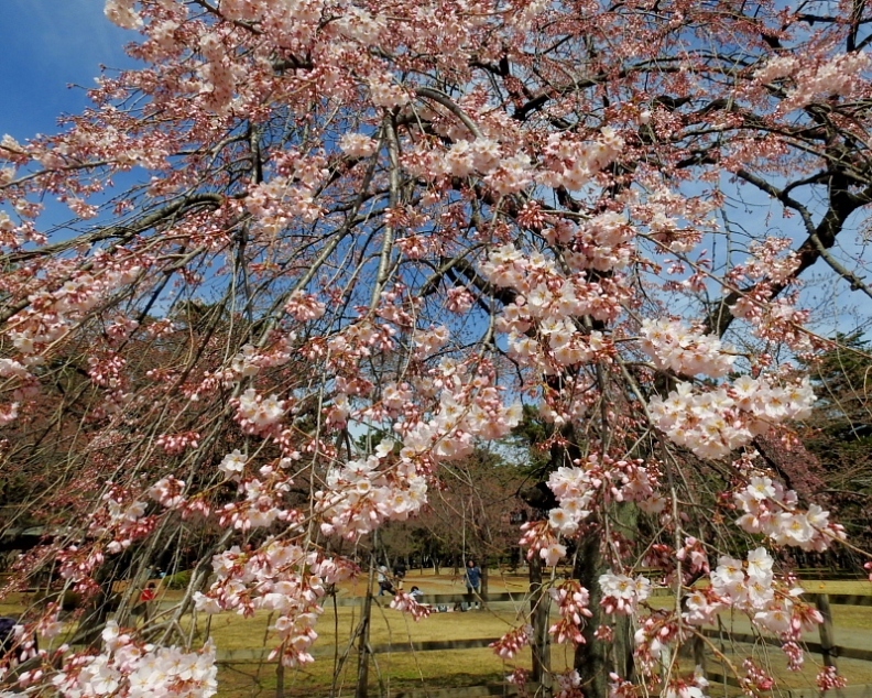 c0305565_17513798.jpg