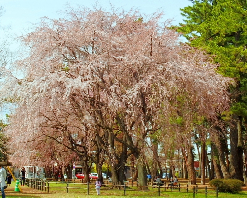 c0305565_17521859.jpg