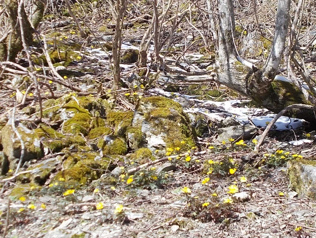 c0219866_08095512.jpg