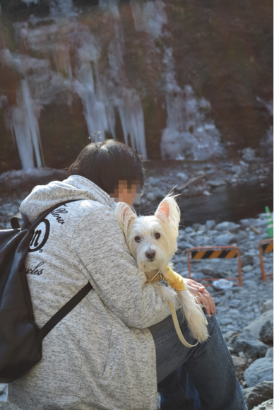 b0242873_02215863.png