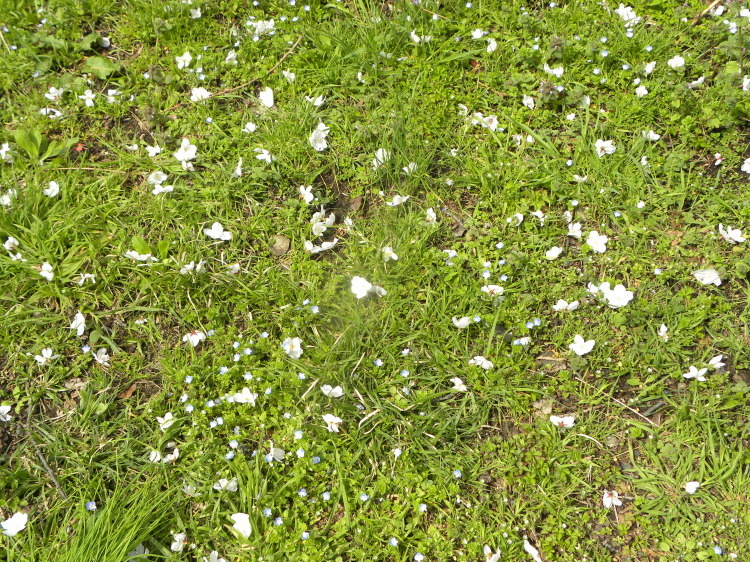 c0162773_18073261.jpg