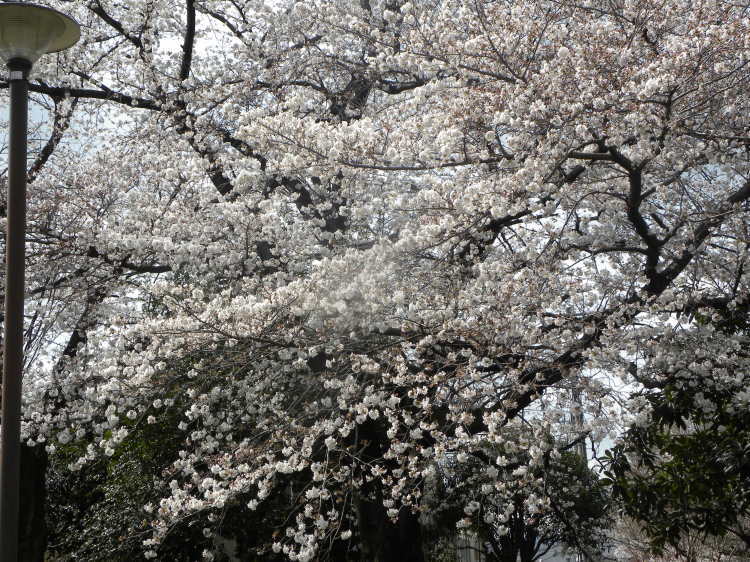 c0162773_18090670.jpg