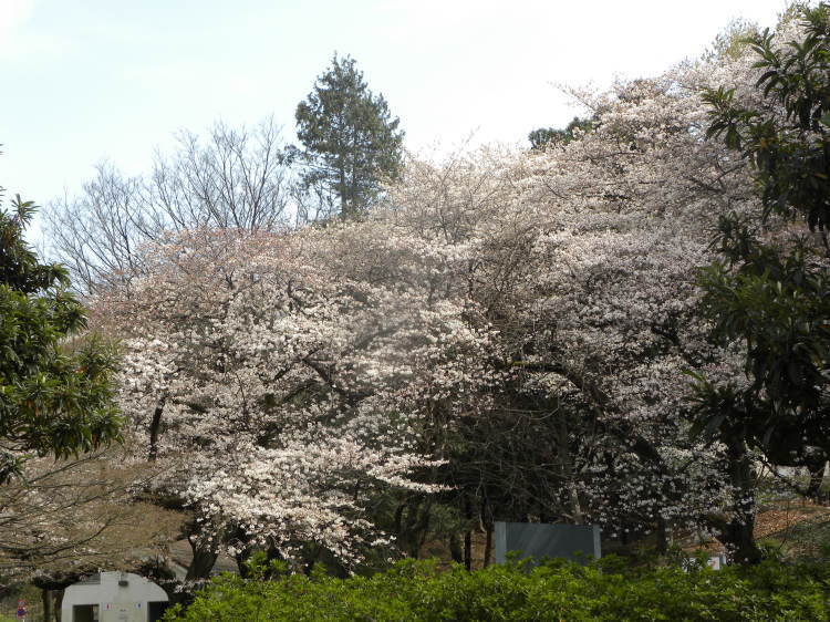 c0162773_18114501.jpg