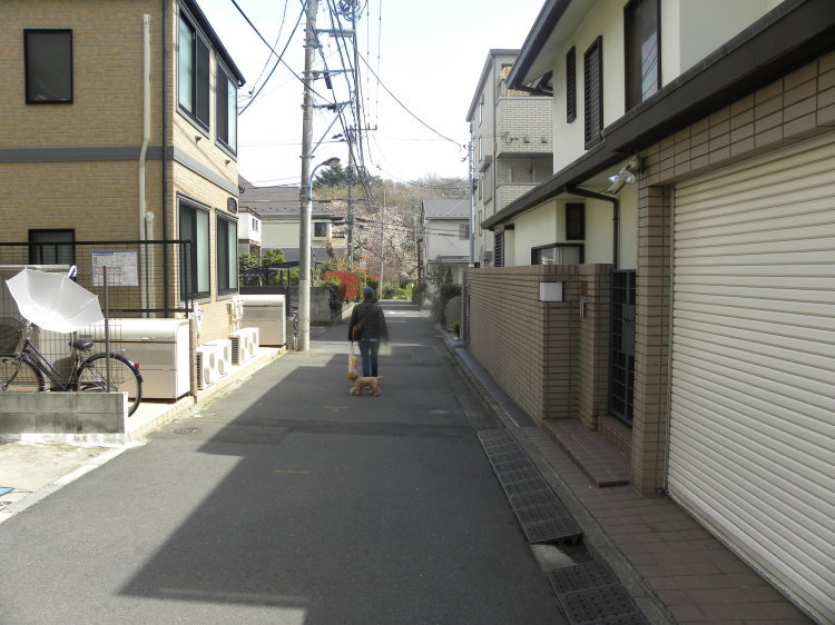 c0162773_18133336.jpg