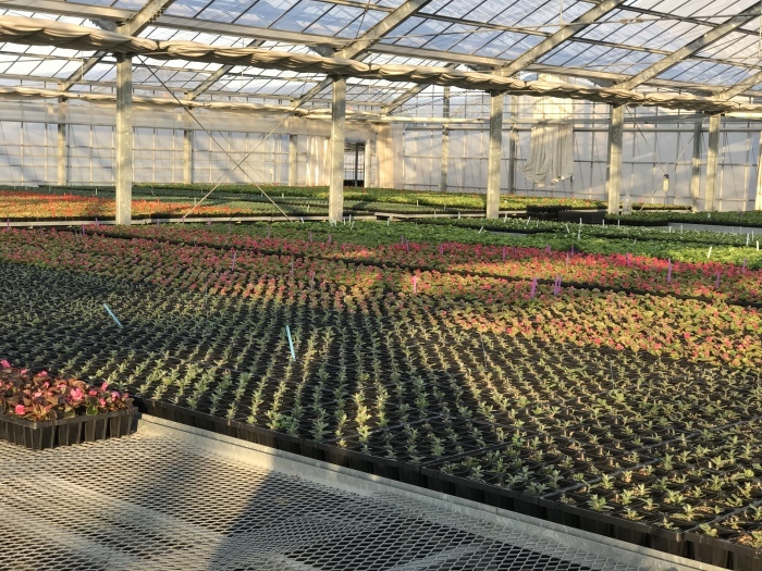 f0359673_17235780.jpeg