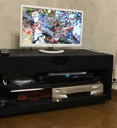 c0380878_20135708.jpg