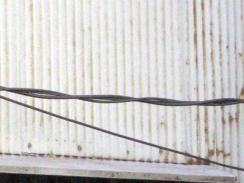 b0057679_09272843.jpg