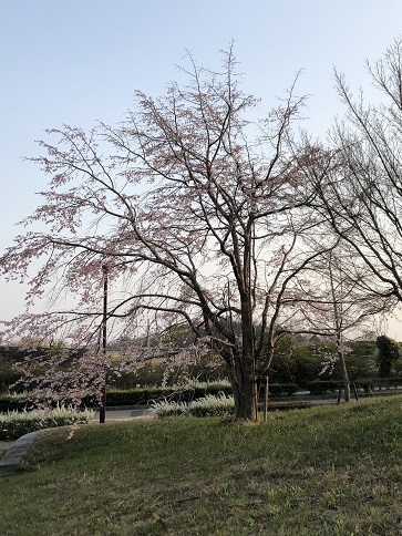 d0341582_17533783.jpg