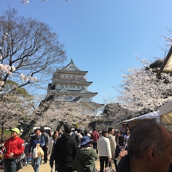 ブルックナーを聞いて_a0191183_22004781.jpg