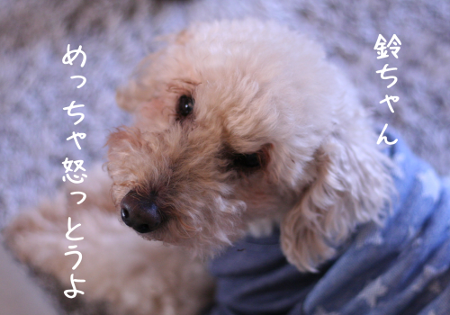 a0216583_15065380.png