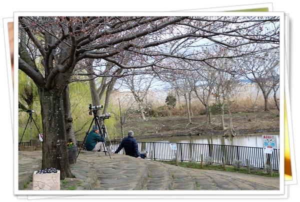 千葉・柏ふるさと公園で散策(*⌒∇⌒*)ﾆｺｯ_b0364186_22294942.jpg