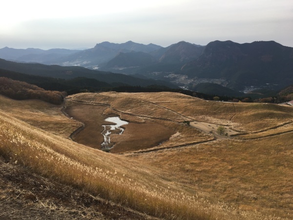 奈良県曽爾村　屏風岩公苑　ヤマザクラ植樹_a0339187_21532922.jpg