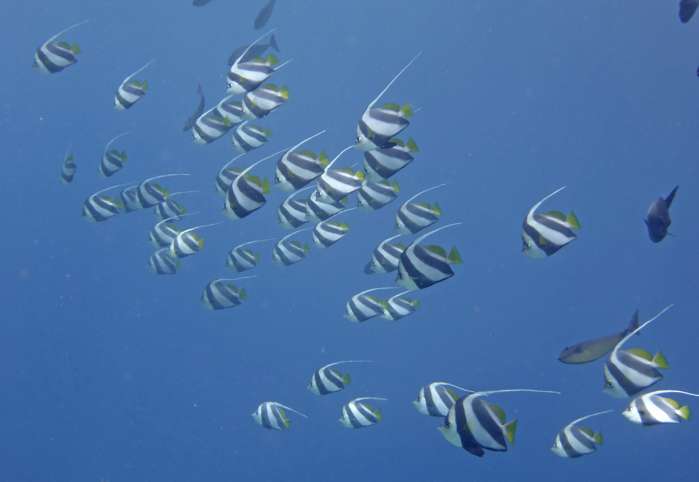 c0147790_23095547.jpg