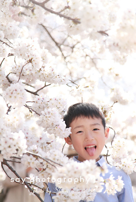 桜、とつぜんに。_d0220593_17383056.jpg