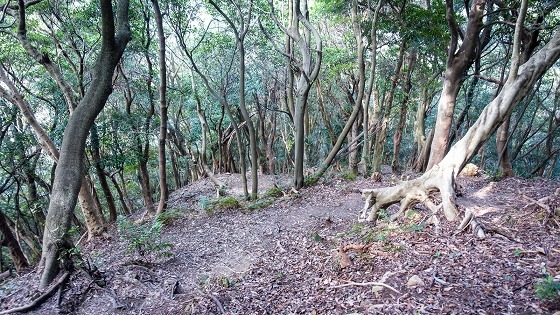 e0176993_07442620.jpg