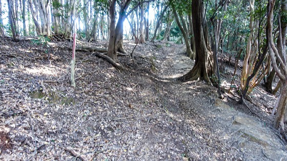 e0176993_07442630.jpg