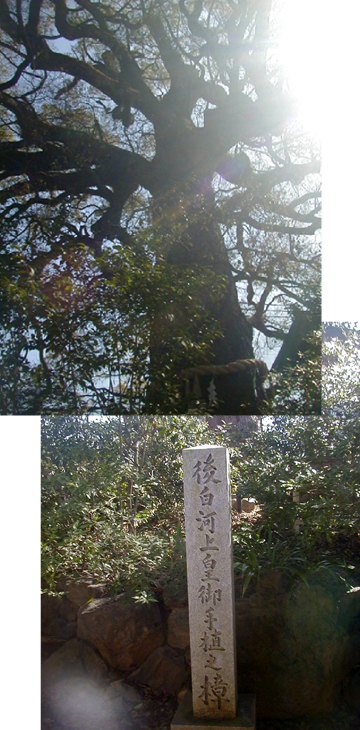 ●神社の造形―新熊野神社、その１_d0053294_01463104.jpg