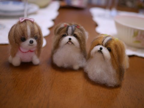 c0090198_2155412.jpg
