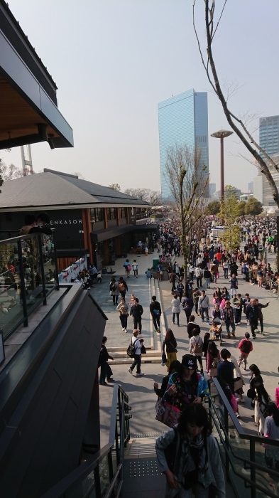 桜_c0047605_08113915.jpg