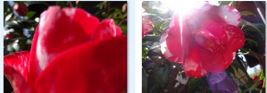 f0231709_02043307.gif