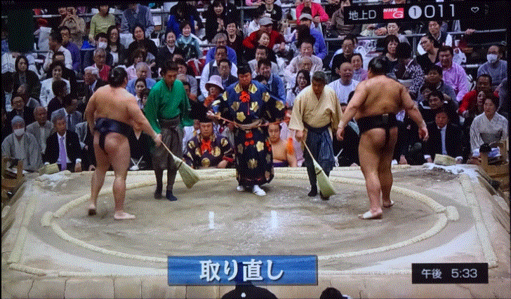 f0231709_06205051.gif