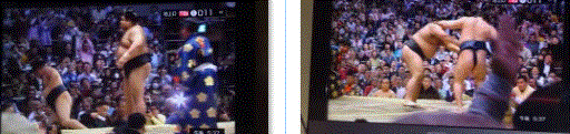 f0231709_06225040.gif