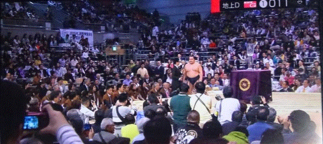 f0231709_06255584.gif