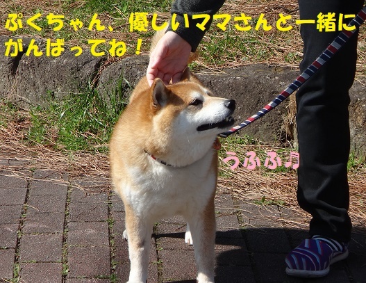 f0121712_00255745.jpg