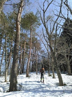 c0359615_20182486.jpg