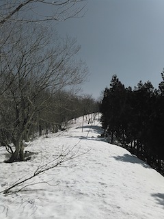 c0359615_20191279.jpg