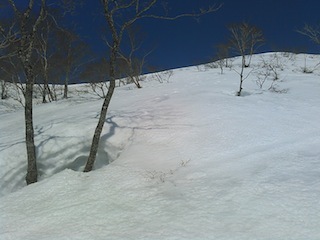c0359615_20234697.jpg
